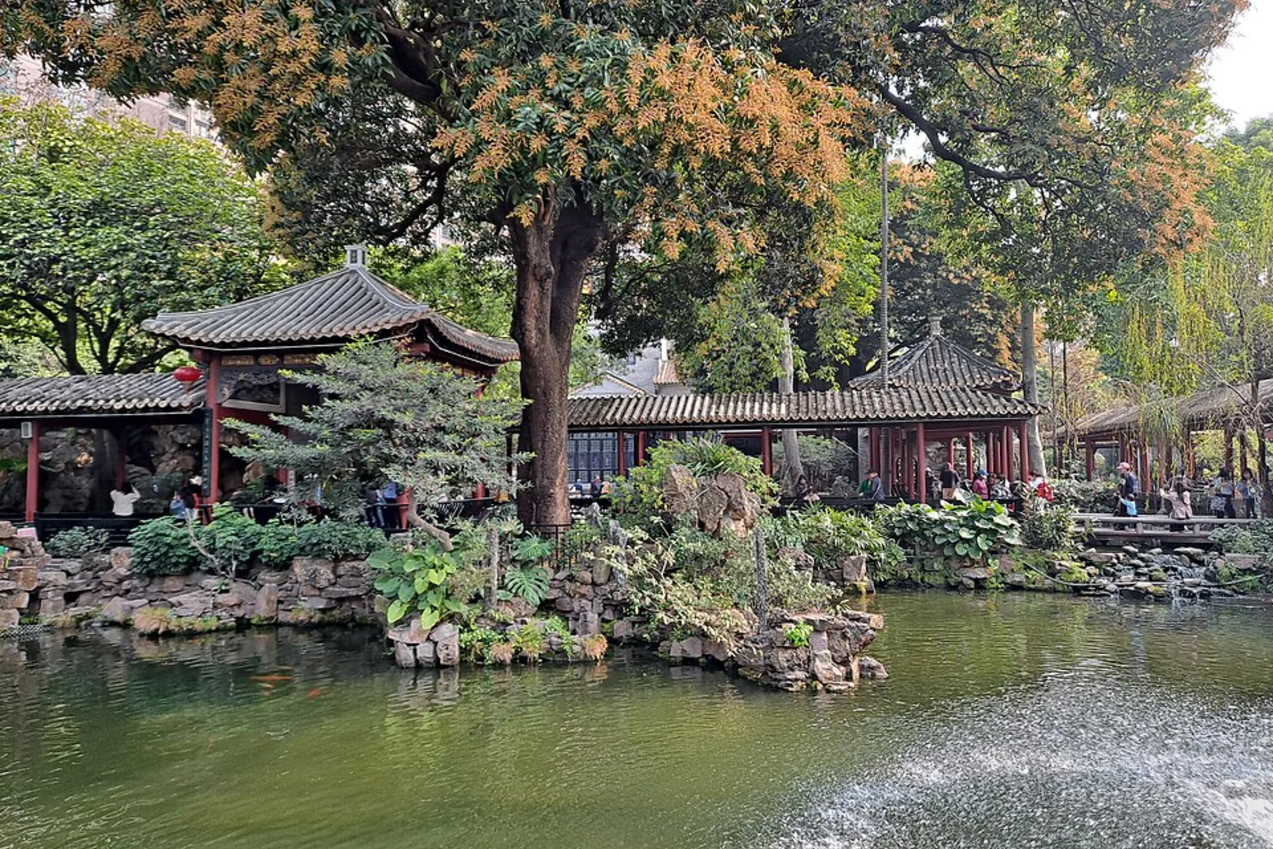 Pond, trees and covered garden walk at Qinghui Garden in Daliang, Shunde